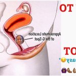 cartoon g-spot orgasm