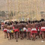 south africa zulu tits/pussy picture