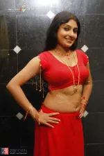 wallpaper actress boobs xray