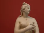 boobs picts