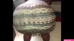 Ass shake