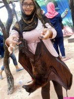 Toket gede image 7