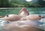 OnlyFans Topless  Beach Beauties! 👙❤⚘ (4127 photos) - Page 410 image 4097
