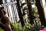 Patreon Carroll Visual CarrollVisual image 8
