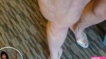 OnlyFans Debra D'Andrea debradandrea - Page 9 image 90