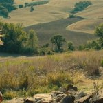 BENEDETTA NUDE SCENES