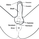 The Ultimate Guide To Giving Him The Best Blowjob Of His Entire Life