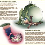 Larrys Libram Of Monster Breeding Porn Comic