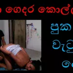Boy Toy for an Ass Fuck Part 2 Boy Toy for Fun: Sri Lankan Anal Porn