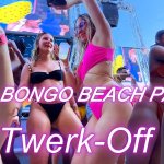 Pool Party Twerkin 1:12