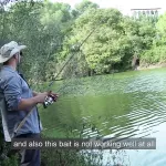 Outdoor Anal Bitch Porn Videos