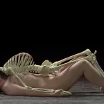 Marina Abramovi krijgt expo in Royal Academy of Arts: Alleen Abramovi kan simpele daden tot kunst verheffen