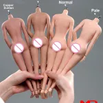 AB001 16 Female Seamless Curvy Ass Action Figure Body 12 Pale Suntan Steel Skeleton Flexible Big Breast Body Doll