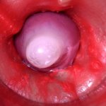 CAMERA IN POESJE: KRACHTIG SPERMA IN POESJE! Beste interne asmr in 4k
