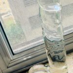 Review: Spartacus Blown Large Realistic Glass Dildo