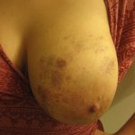 Others – Brynn - Page 153 image 1530
