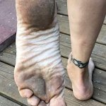 OnlyFans – Ms. Johnson / @sexymsdevonjohnson – 36H - Page 20 image 197
