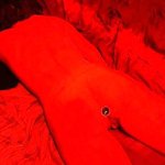 OnlyFans – Kitty / @nippy.hippie - Page 8 image 79