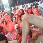DANCING BEAR