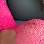 Giant Elf Gives A Little Human A Hot Body Tour