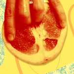 Female Masturbation 101