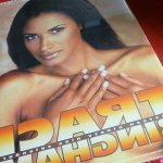 Vintage Semi-Nude Pinup Wall Calendar Traci Bingham 17 x 12 SEALED NOS