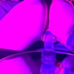 OnlyFans – Glizzy Mcguire / @cleptocowboy - Page 5 image 47