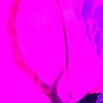 OnlyFans – Glizzy Mcguire / @cleptocowboy - Page 7 image 67