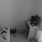 Hidden cam in Airbnb apartment caught young couple fucking