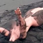 Very realistic sex doll mistaken for corpse