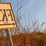 Why FKK Keeps Showing Up on Nude Beaches