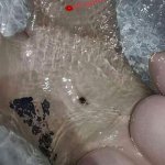 OnlyFans – Mr and Mrs RepsOG / @mrs.reps.o.g - Page 2 image 17