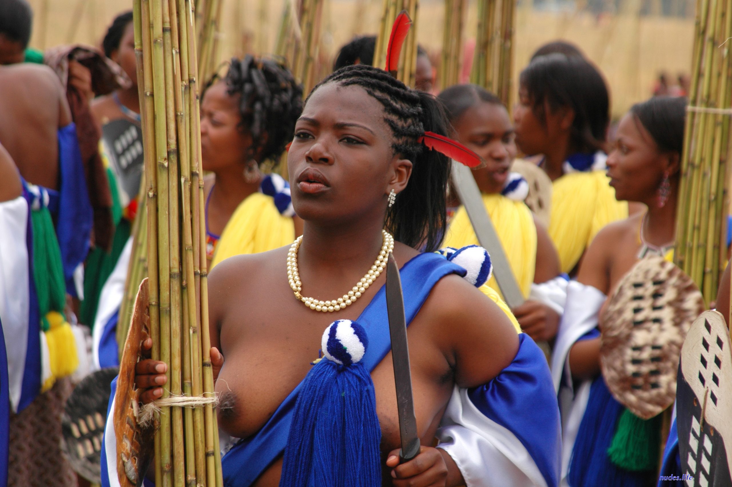 nude breast zulu reed dance picture