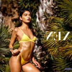 emily willis vixen