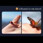 3d incest webm