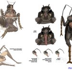 insect tf r34