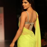 priyanka chopra xxx mang pic hot n