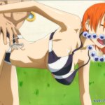 one piece nami bikini fuck