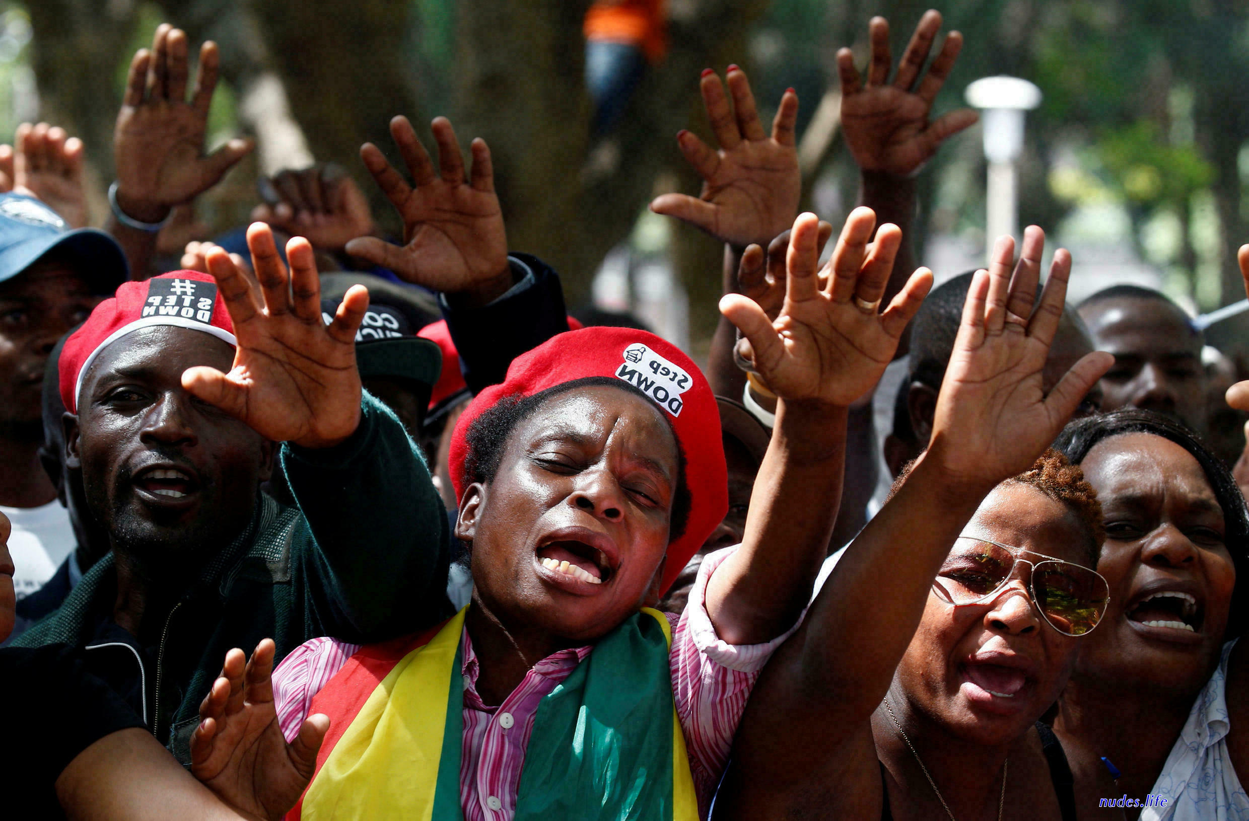 Kuma ya zibambe