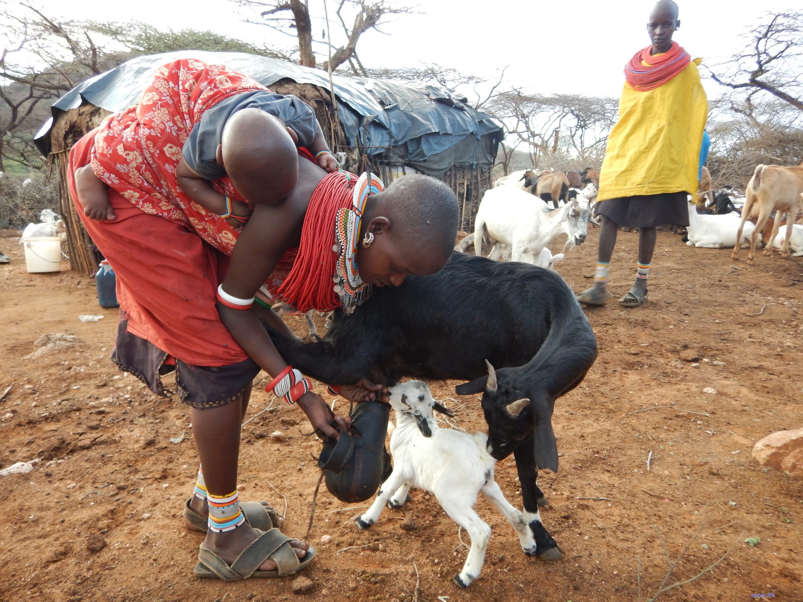 Turkana women breasts wear