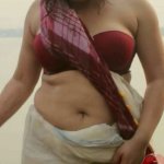desi bhabhisari lift pics