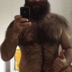 hairy bear pics
