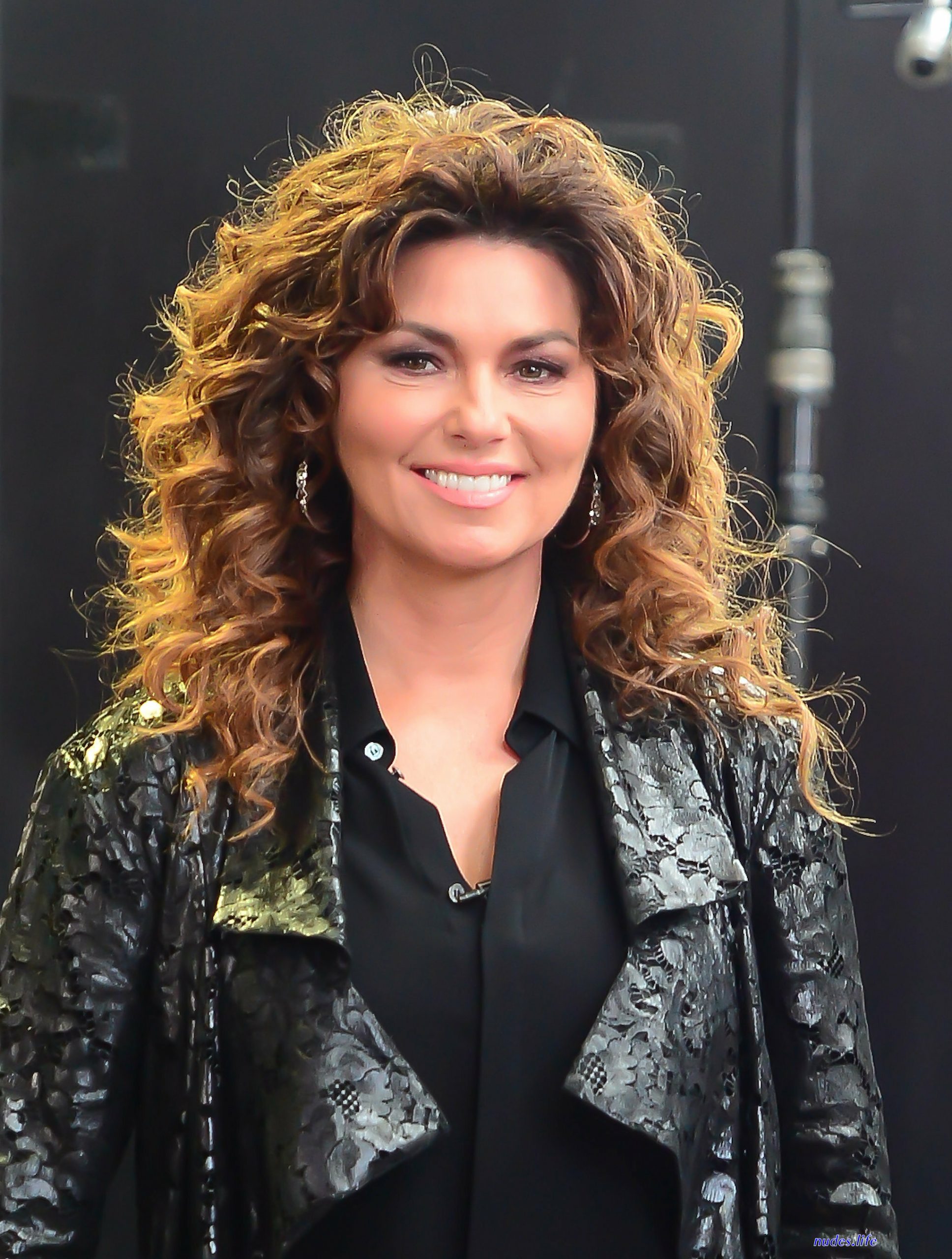 Shania twain boobs
