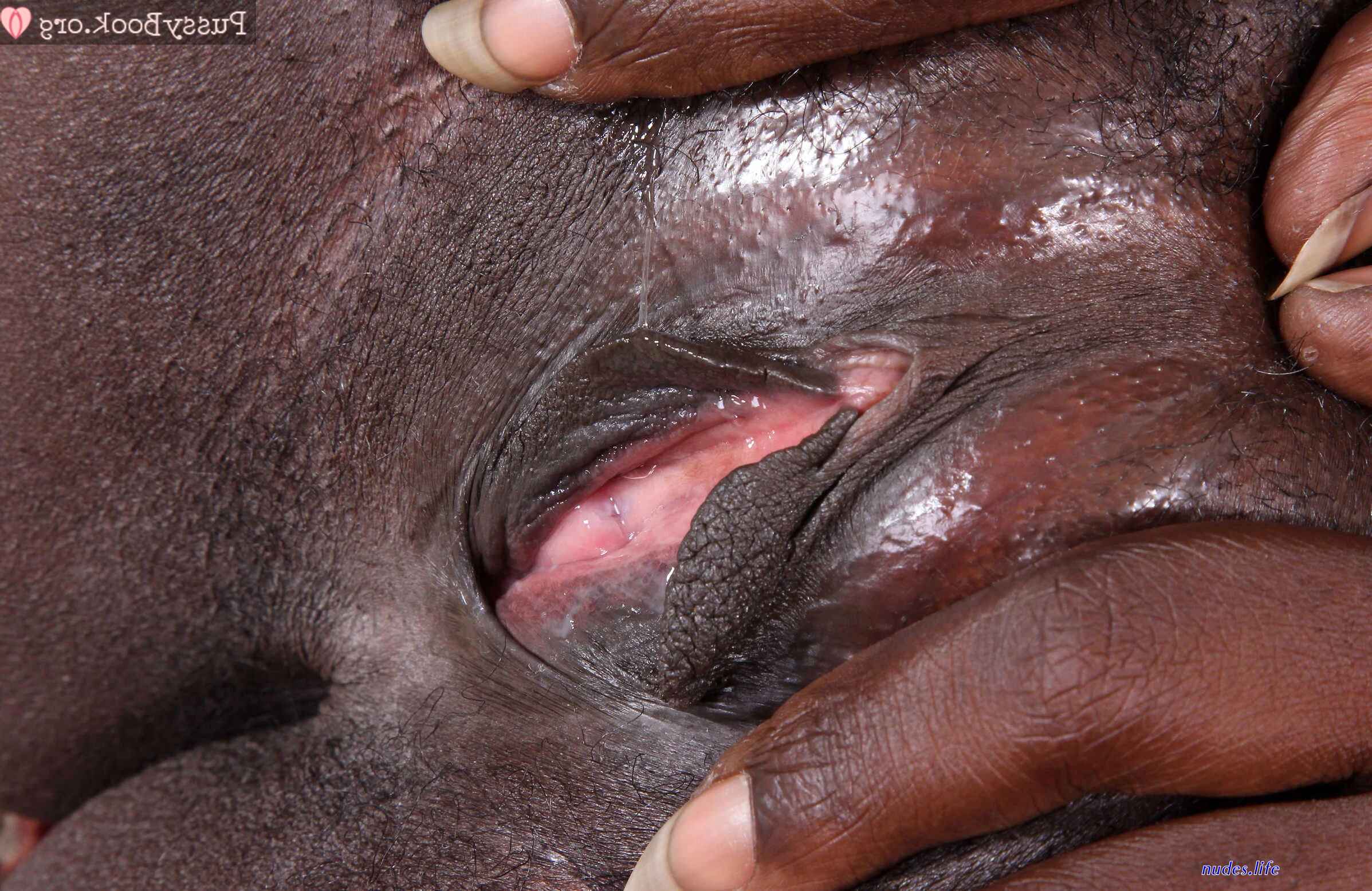Ebony hq pussy in panties closeup pics