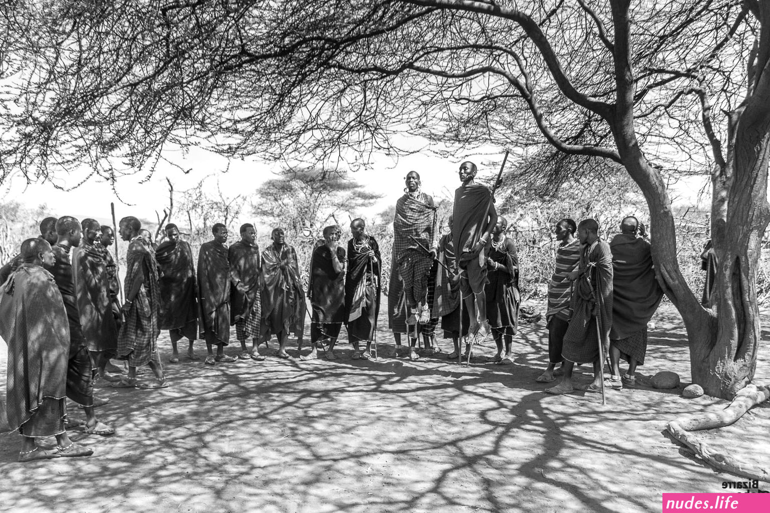 iloshoni kimaasai