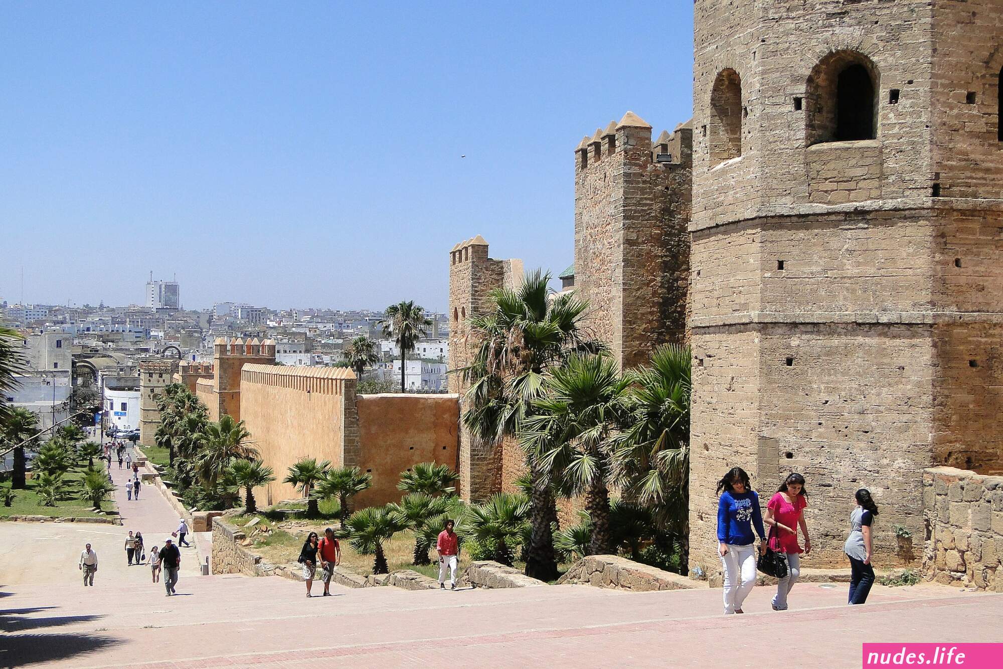 Kuma ya moroco