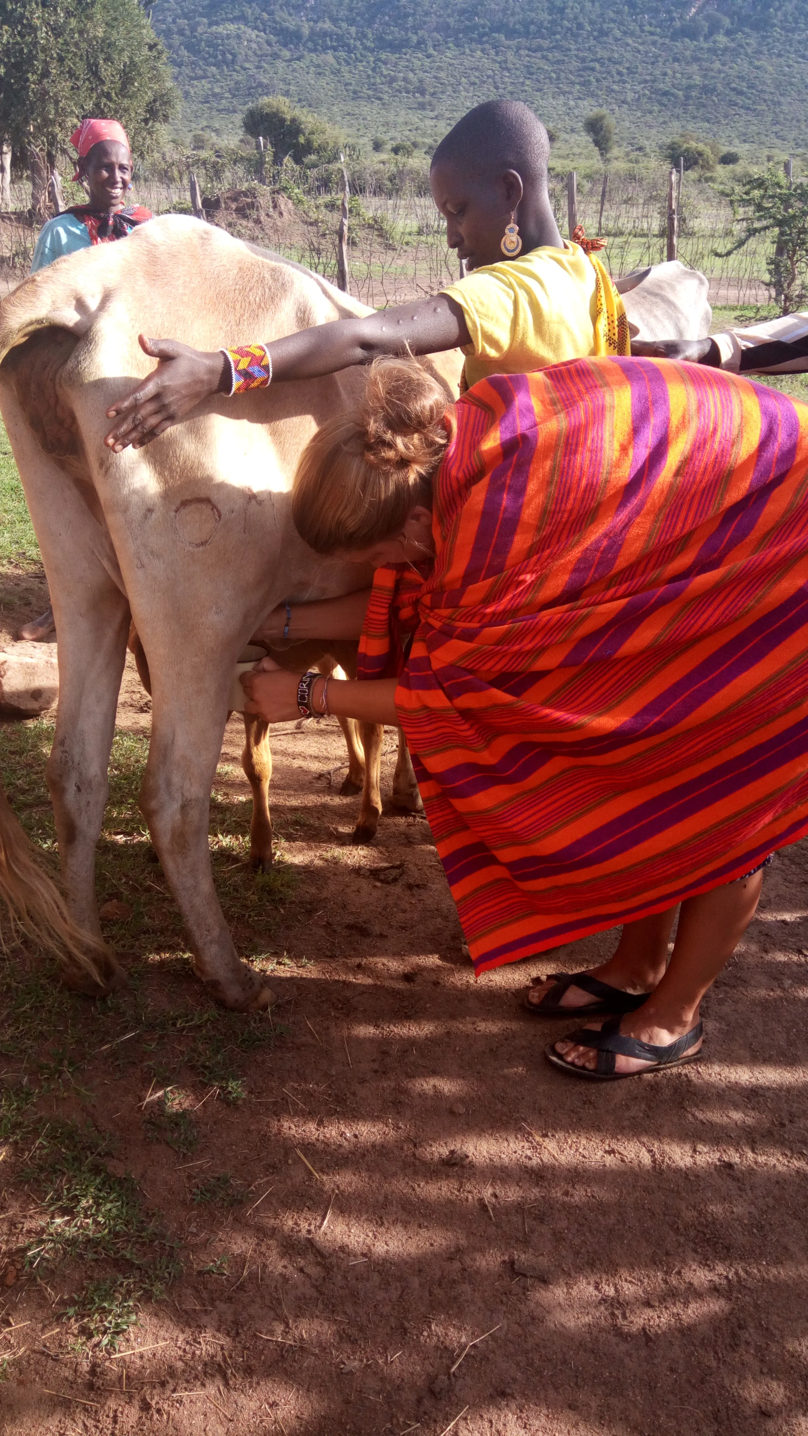 Masai porn site pic