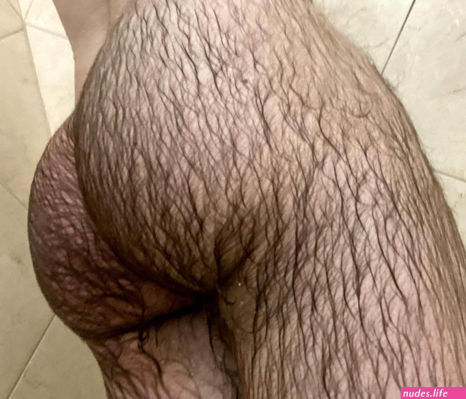 Hairy man ass pics