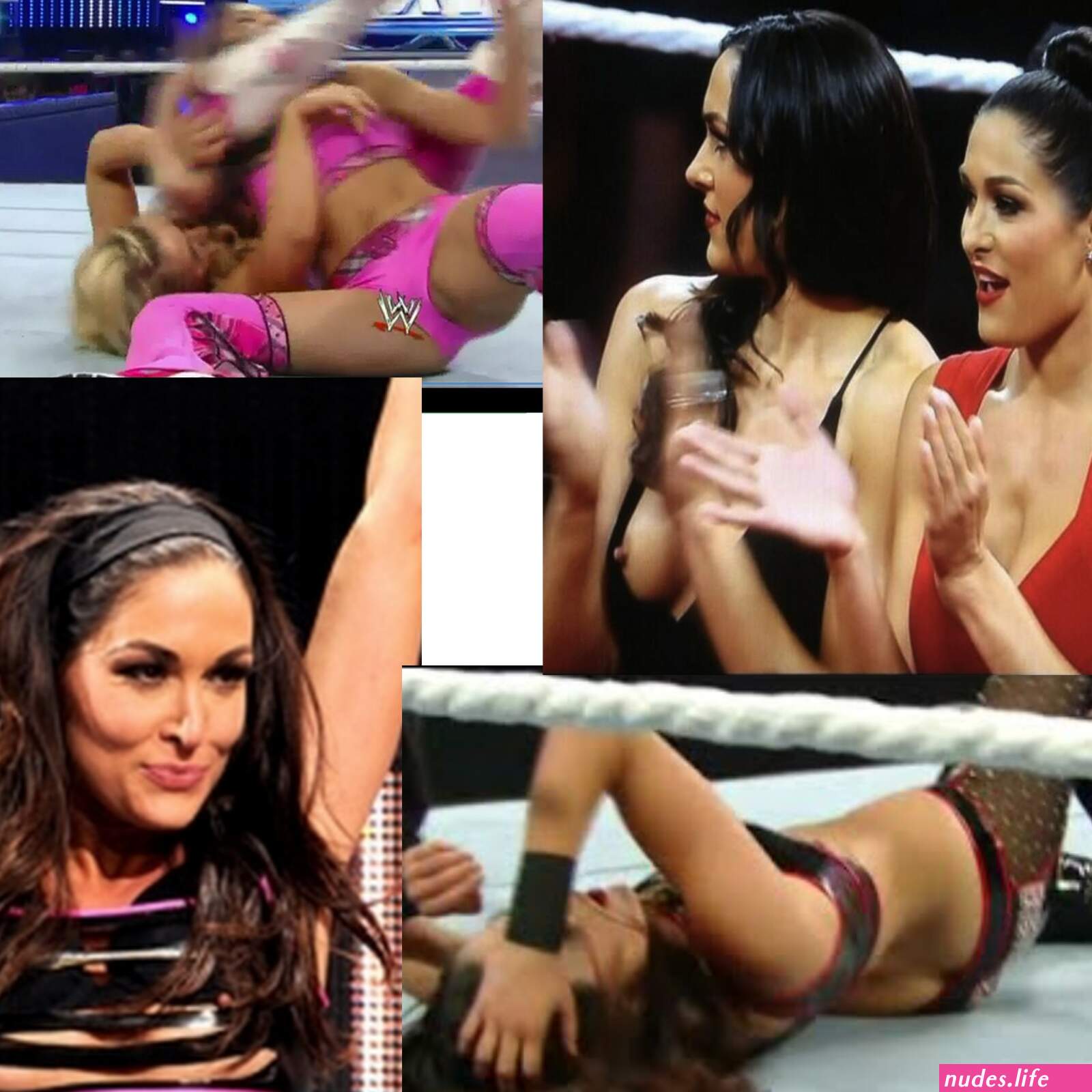 Brie bella naked