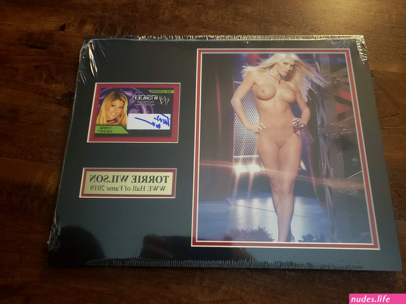 Torrie wilson nude images
